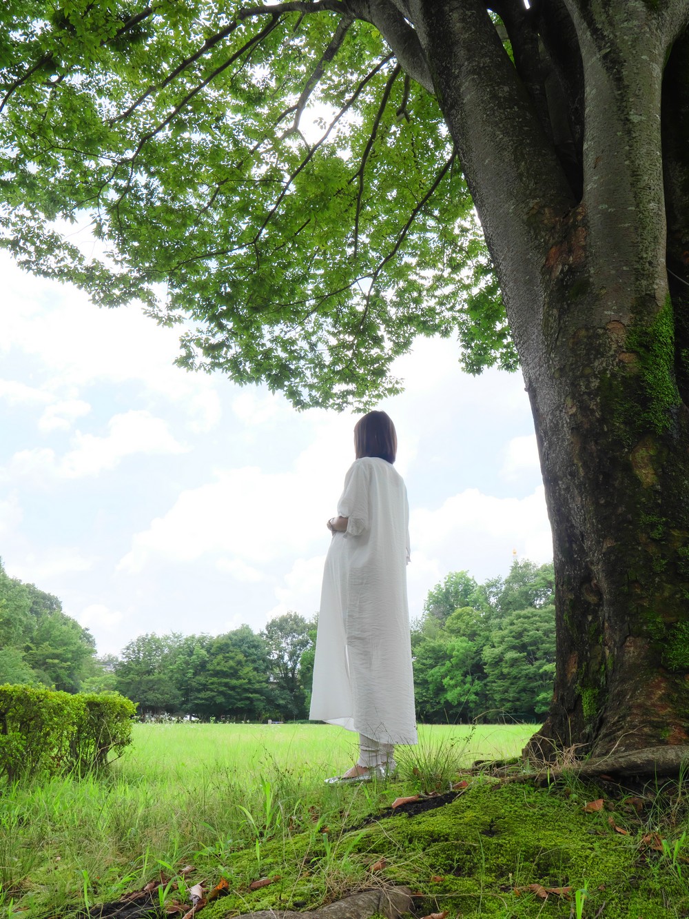 マタニティフォト