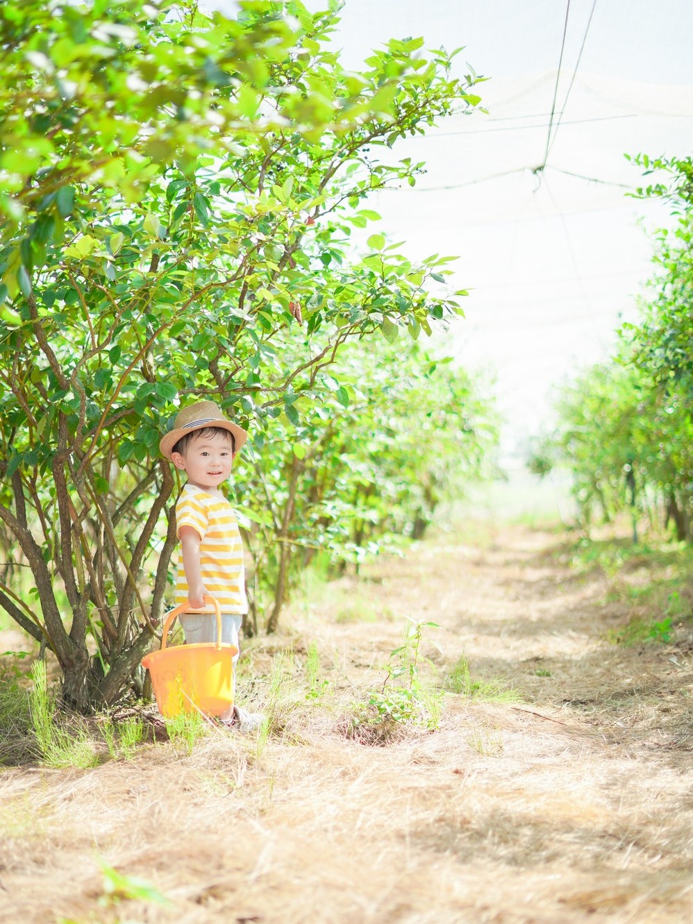ロケーションフォト